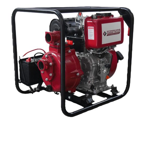 P1200134 scaled 1 scaled 1.jpg